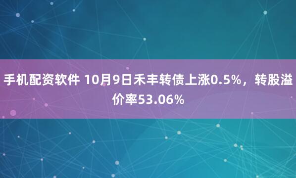 手机配资软件 10月9日禾丰转债上涨0.5%，转股溢价率53.06%